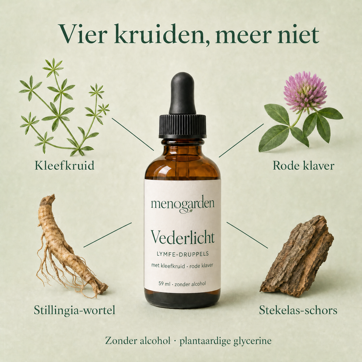 De vier kruiden in Vederlicht